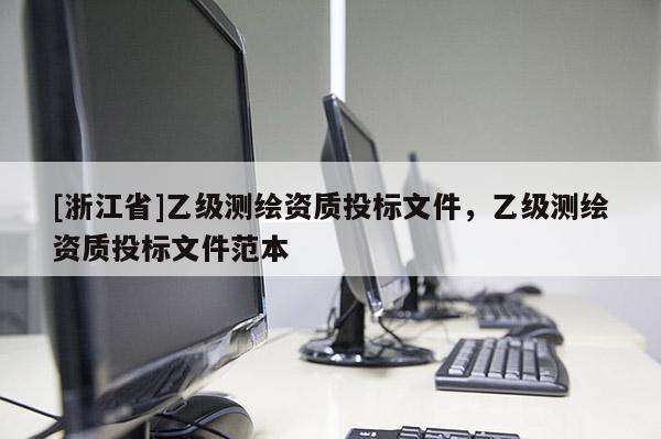 [浙江省]乙級測繪資質投標文件，乙級測繪資質投標文件范本