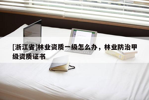 [浙江省]林業資質一級怎么辦，林業防治甲級資質證書