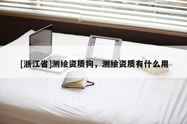 [浙江省]測繪資質狗，測繪資質有什么用
