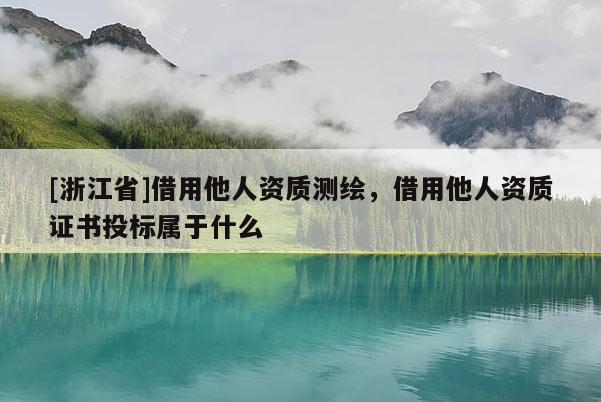 [浙江省]借用他人資質測繪，借用他人資質證書投標屬于什么