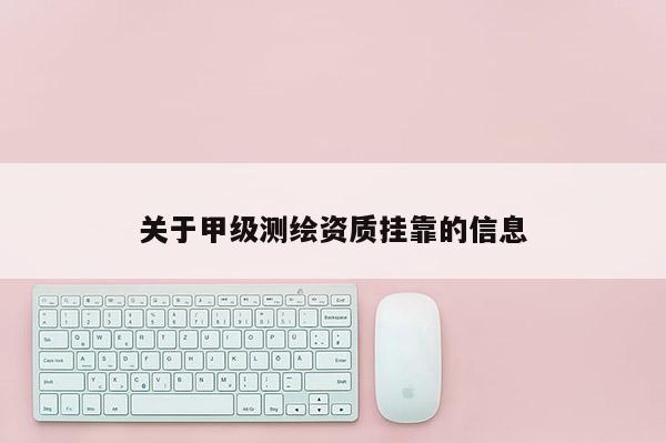 關于甲級測繪資質掛靠的信息